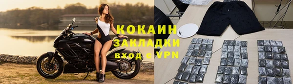 ПСИЛОЦИБИНОВЫЕ ГРИБЫ Горно-Алтайск