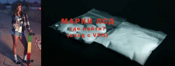 ПСИЛОЦИБИНОВЫЕ ГРИБЫ Горно-Алтайск