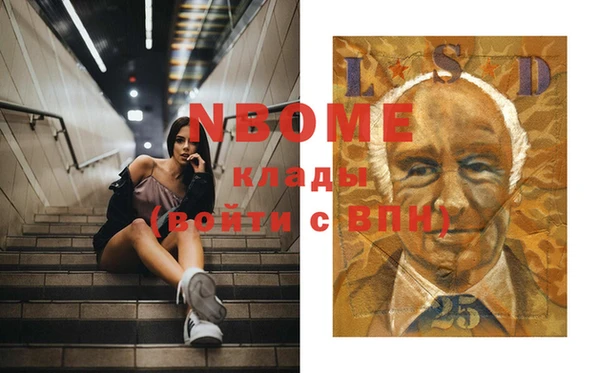 ПСИЛОЦИБИНОВЫЕ ГРИБЫ Горно-Алтайск