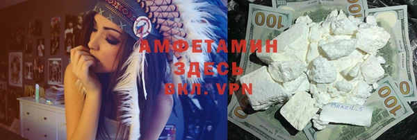 ПСИЛОЦИБИНОВЫЕ ГРИБЫ Горно-Алтайск