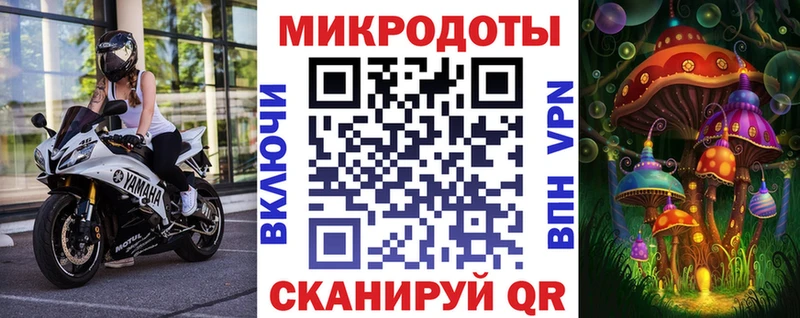Псилоцибиновые грибы Cubensis Купить Суздаль
